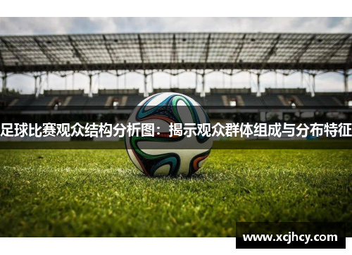 足球比赛观众结构分析图：揭示观众群体组成与分布特征