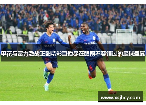 申花与富力激战正酣精彩直播尽在眼前不容错过的足球盛宴